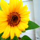 Image for article titled 25 Sizzling Photos Of Summer